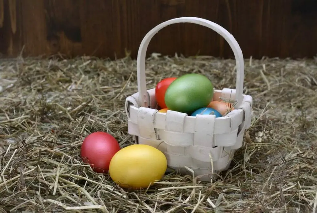 Thomas J. Henry Sponsors Easter Egg Hunts in San Antonio and Corpus Christi pexels photo 356330
