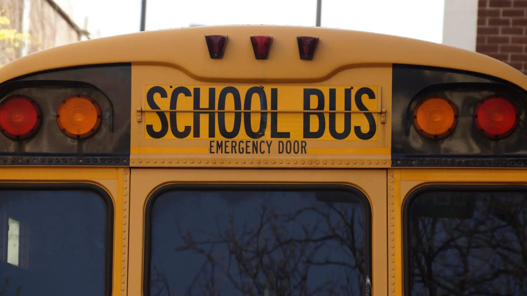 Blog 18 Rear of a school bus emergency door exit
