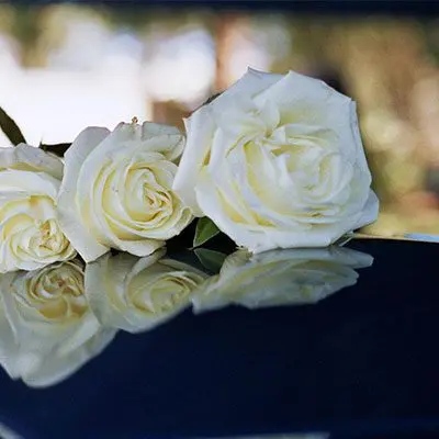Houston Company Vehicle Accident Lawyers 7 Houston Company Vehicle Accident Lawyers Wrongul Death