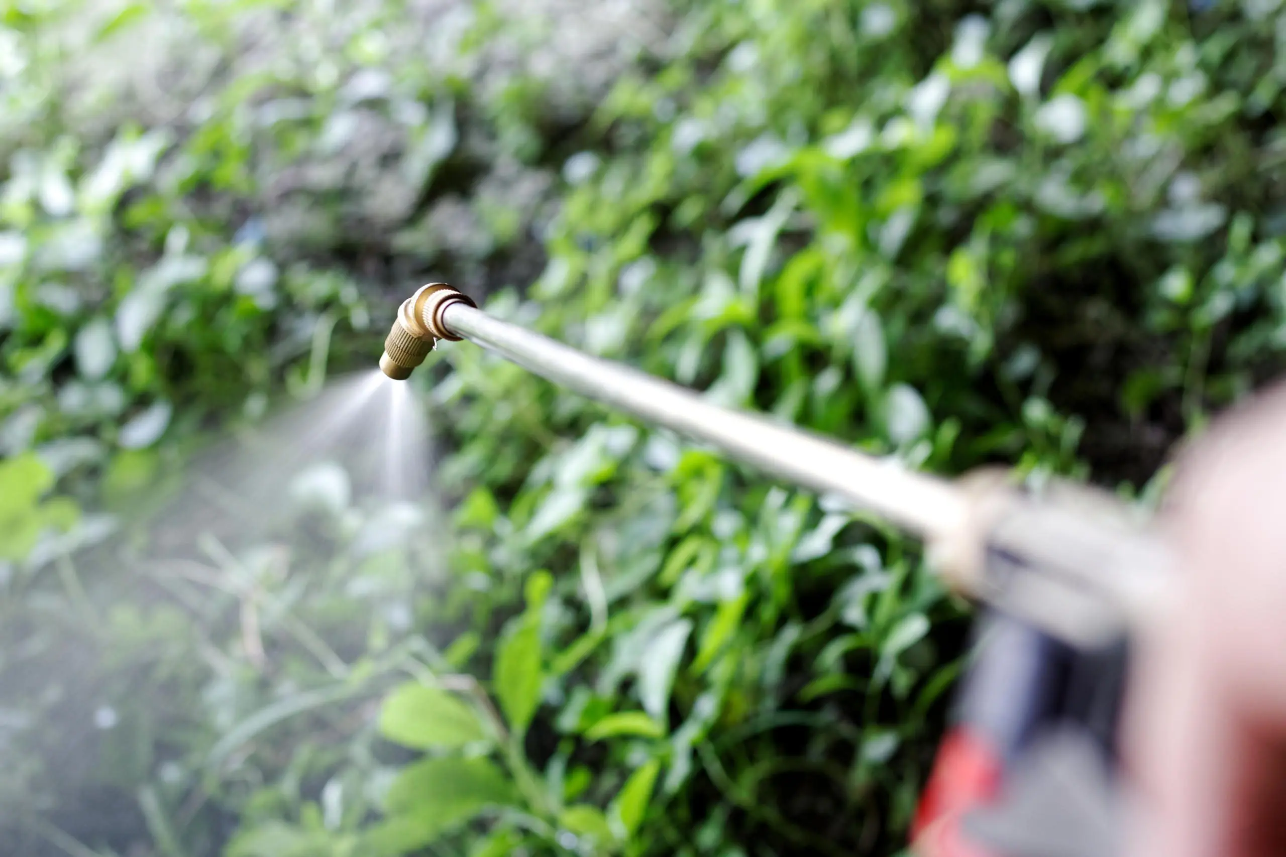 Paraquat Lawyers AdobeStock 300974236 scaled