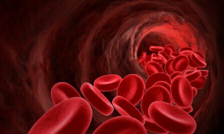 Red blood cells flowing down a vein