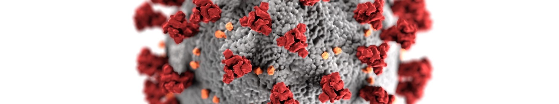 Close-up of microscopic rendition of Coronavirus