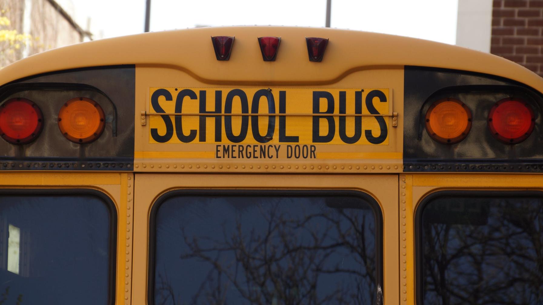 Rear of a school bus emergency door exit