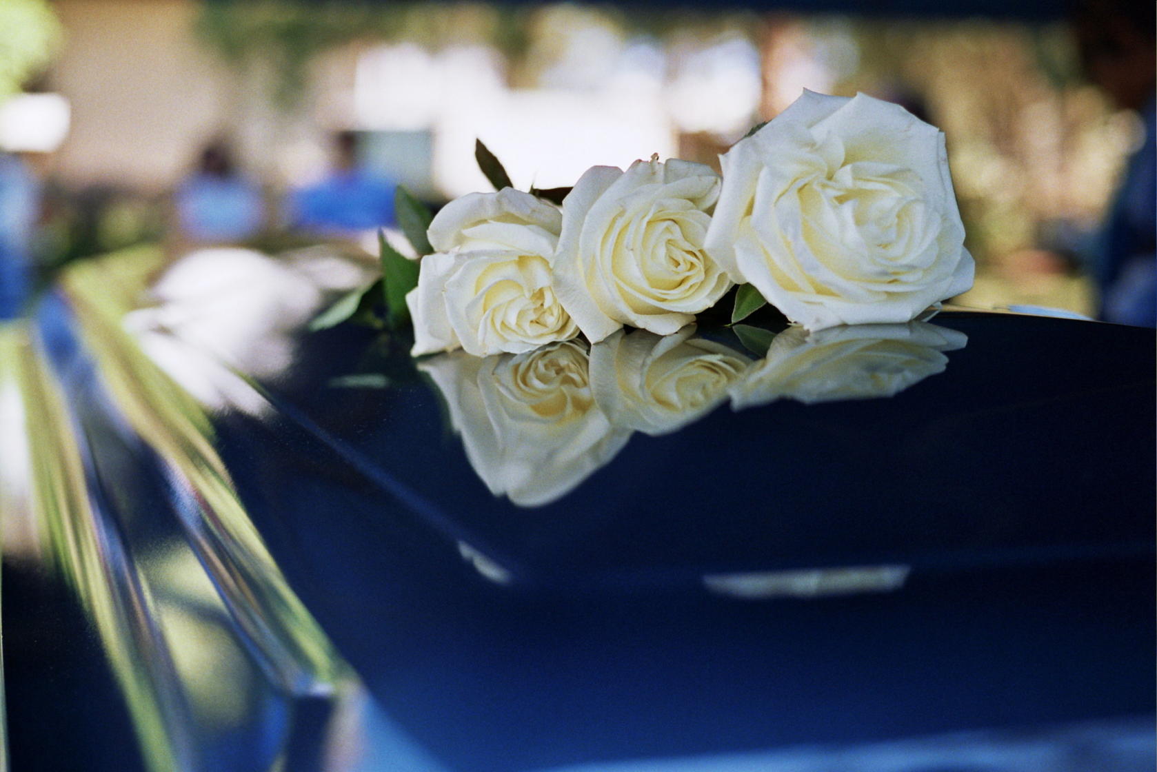 White roses laying atop a funeral casket