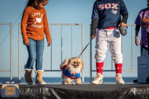 Dog contestant wearing superman costume at 2019 Bark in the Park Corpus Christi